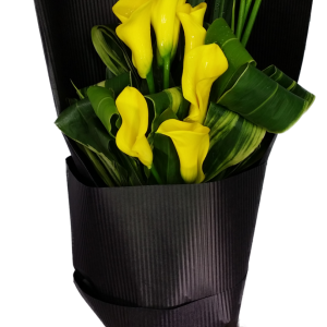 Calgary Ruby Flower Shop Yellow Elegance Calla Lily Bouquet 