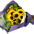 Canada Flower Gifts Radiant Bliss Sunflower Bouquet 2766
