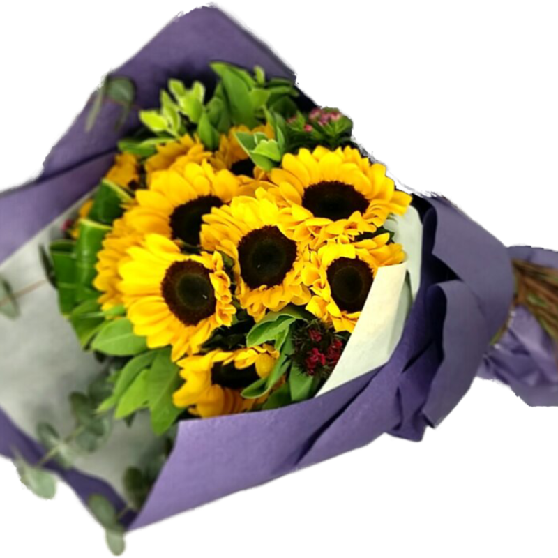 Canada Flower Gifts Radiant Bliss Sunflower Bouquet 2766