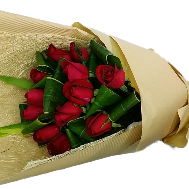 Canada Flower Gifts Timeless Romance Red Roses (One Dozen) 2778