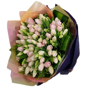 Calgary Ruby Flower Shop Pure Perfection 100 Holland Tulips Bouquet 2791