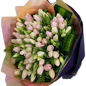 Calgary Ruby Flower Shop Pure Perfection 100 Holland Tulips Bouquet 2791