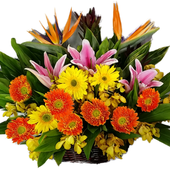 Calgary Ruby Sunshine Recovery Bouquet 2799