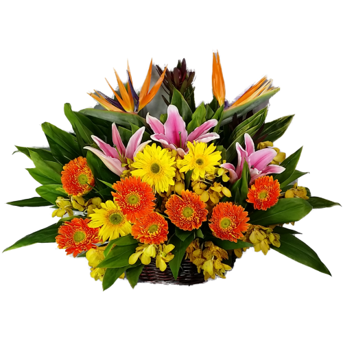 Calgary Ruby Sunshine Recovery Bouquet 2799