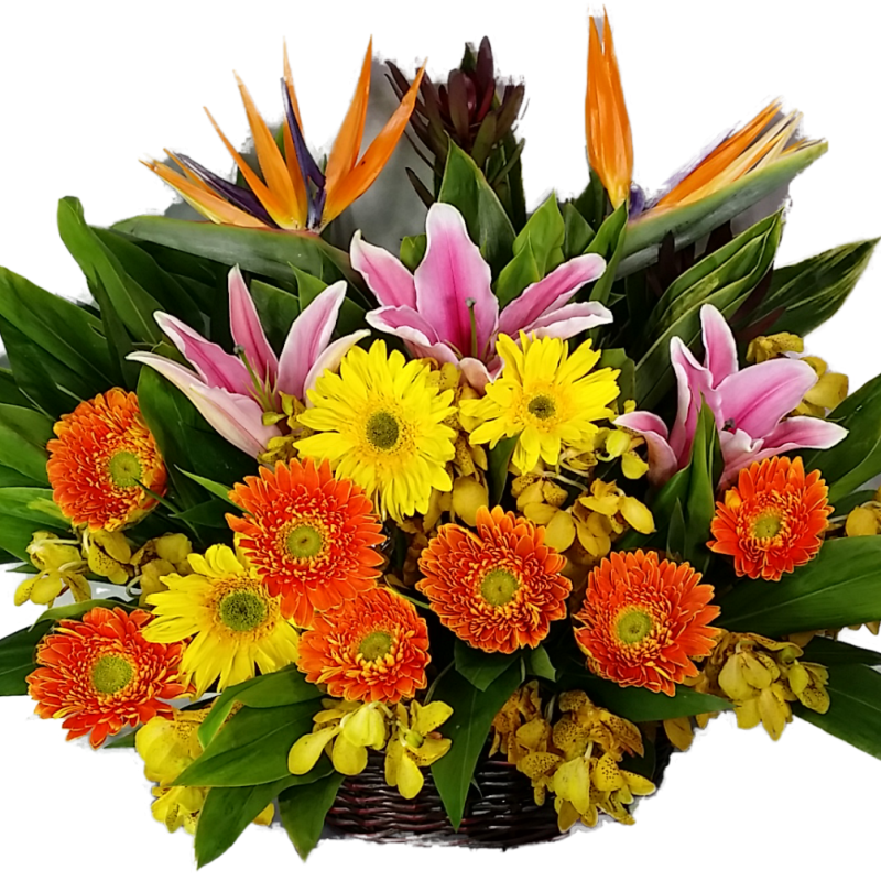 Calgary Ruby Sunshine Recovery Bouquet 2799
