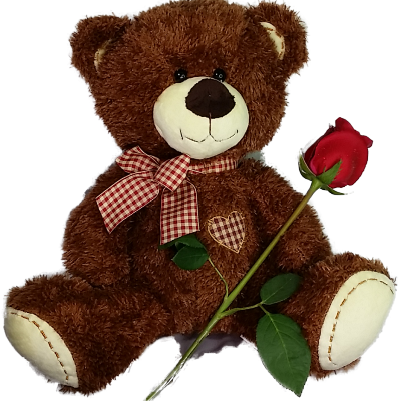 Sweetheart Surprise Teddy with Single Rose