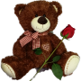 Sweetheart Surprise Teddy with Single Rose