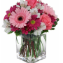 Pink Blushing Delight Vase Arrangement