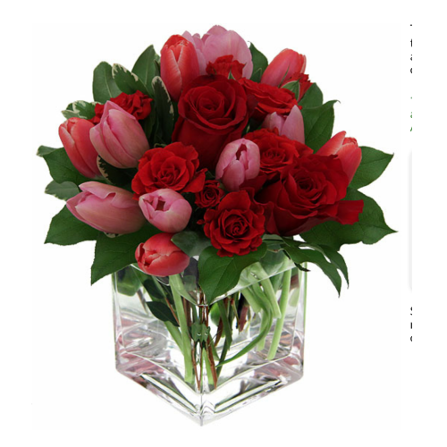 Calgary Ruby Tulip Romance Symphony Vase