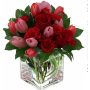 Tulip Romance Symphony Square Vase