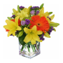 Colorful Joy Square Vase Yellow Lily and Gerbera Arrangement