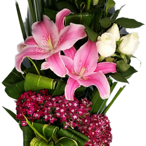 Calgary Ruby Grand Congratulations Bloom Basket 2827