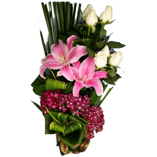 Calgary Ruby Grand Congratulations Bloom Basket 2827
