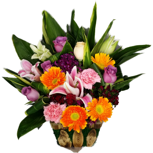 Calgary Ruby Healing Radiance Get Well Basket