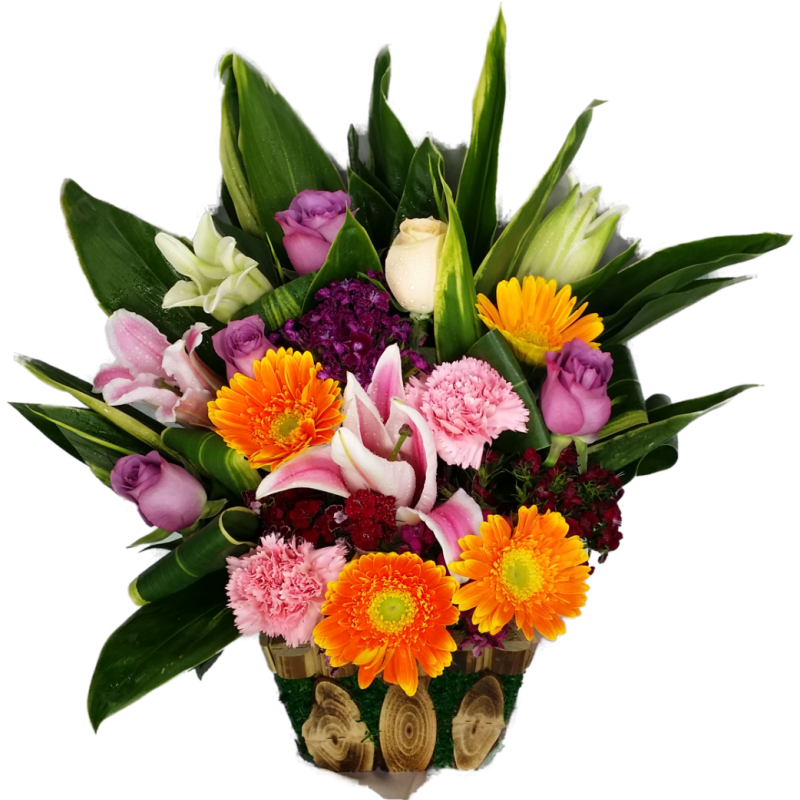 Healing Radiance Get Well Basket