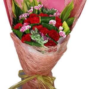 Ruby Forever Love Carnation Bouquet 2842