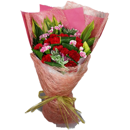 Ruby Forever Love Carnation Bouquet 2842