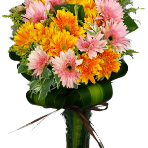 Calgary Ruby Morning Bliss Gerbera Vase Arrangement 2849
