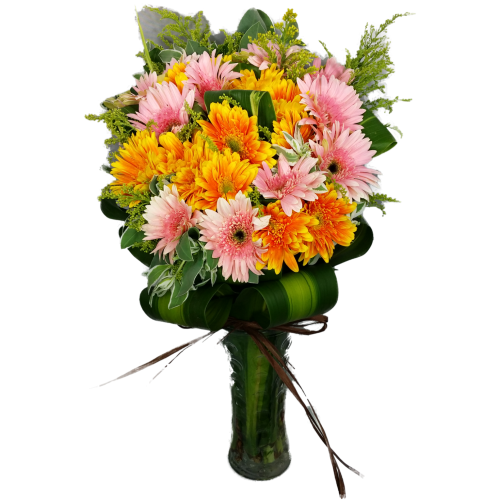 Calgary Ruby Morning Bliss Gerbera Vase Arrangement 2849