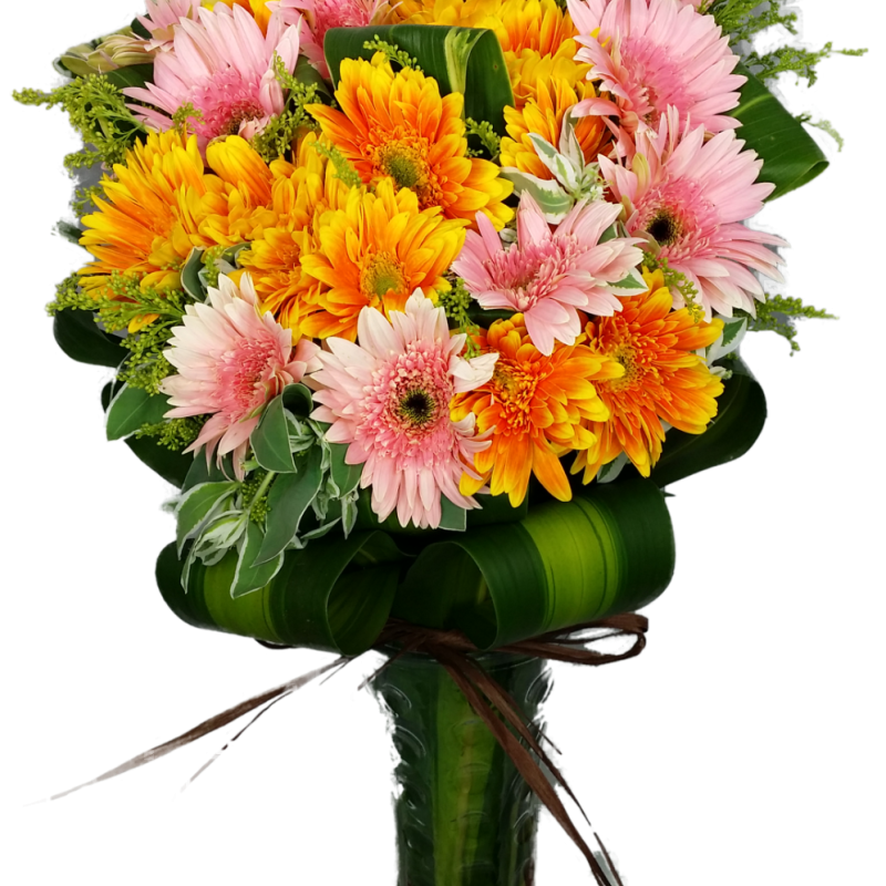 Morning Bliss Gerbera Round Vase Arrangement