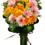 Morning Bliss Gerbera Round Vase Arrangement