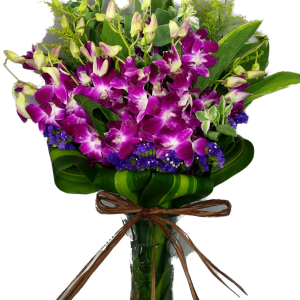 Calgary Ruby Flower Shop Blooming Thai Orchids Sunshine Vase