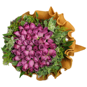YYC Flowers Velvet Dreams 50 Purple Roses Bouquet