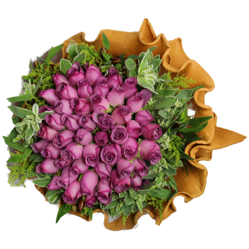 YYC Flowers Velvet Dreams 50 Purple Roses Bouquet