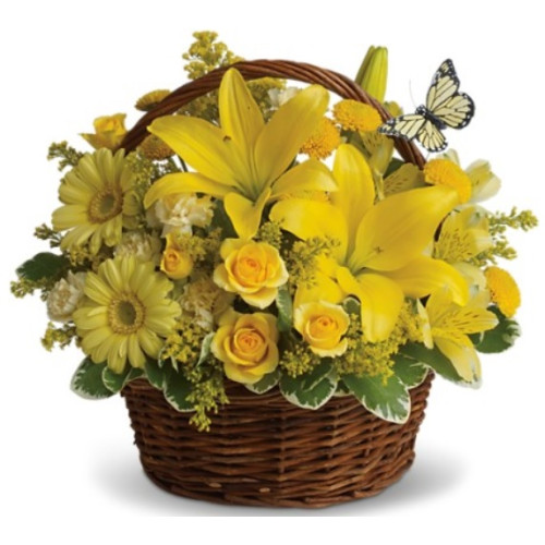 YYC Flowers Sunlit Basket of Joy 2908