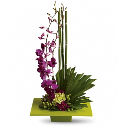 YYC Flowers Tranquil Zen Bloom Orchid Arrangement 