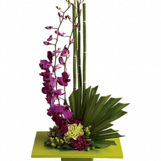 Tranquil Zen Bloom Orchid Arrangement