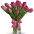 YYC Calgary Flowers Delicate Pink Tulip Vase