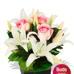 Small Boxed Oriental ands Rose