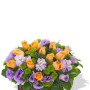Orange Rose and Matthiola Arrangement