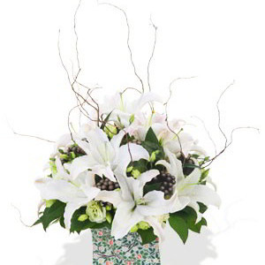 White Oriental Lily Arrangement 