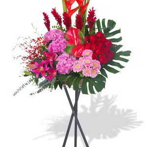 Red Grand Opening Grand