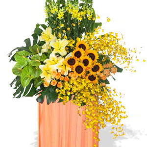 Sunflower and Orchid Grand Opening Stand