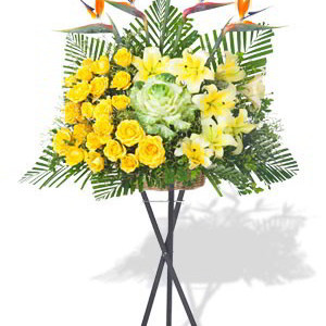 Rose and Oriental Grand Opening Stand