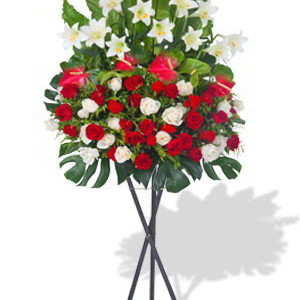 Red and White Grand Opening Stand