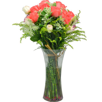 Ecuador Rose Garden Sweet Pink Radiance Roses with Vase