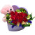 Ecuador Rose Garden Eternal Love Red Roses Box with Teddy Bear