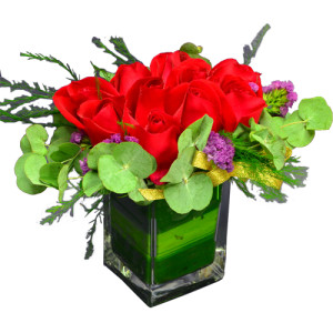 Ecuador Rose Garden Elegant Office Bloom 12pcs Roses Square Vase