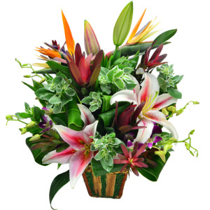 Holland Tulips Garden Radiant Warmth Floral Arrangement