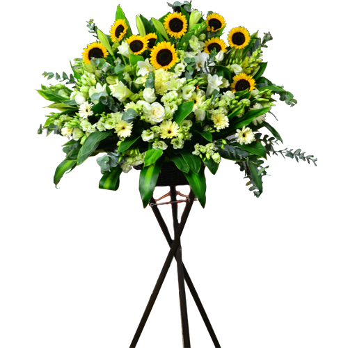 Serene Remembrance Sympathy Arrangement 2703