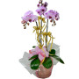 Graceful 3 pcs Taiwan Pink Orchids Arrangement