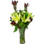 Radiance in Bloom Stargazer Lily Vase Arrangement