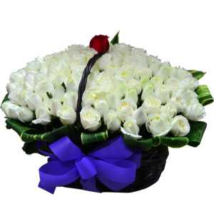 Canada Rose Garden Only One Love 101 Roses Basket
