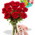 12 Rose Package with Medium Teddy Bear and balloon