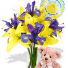 YYC Flowers Asiatic and Iris Package Teddy Bear
