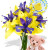 Asiatic and Iris Package with Medium Teddy Bear and Helium Balloon